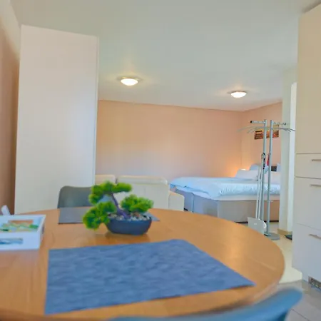 Terrassen-apartment In